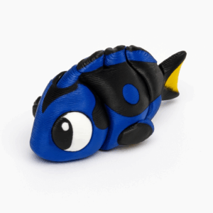 Blue Tang Fish